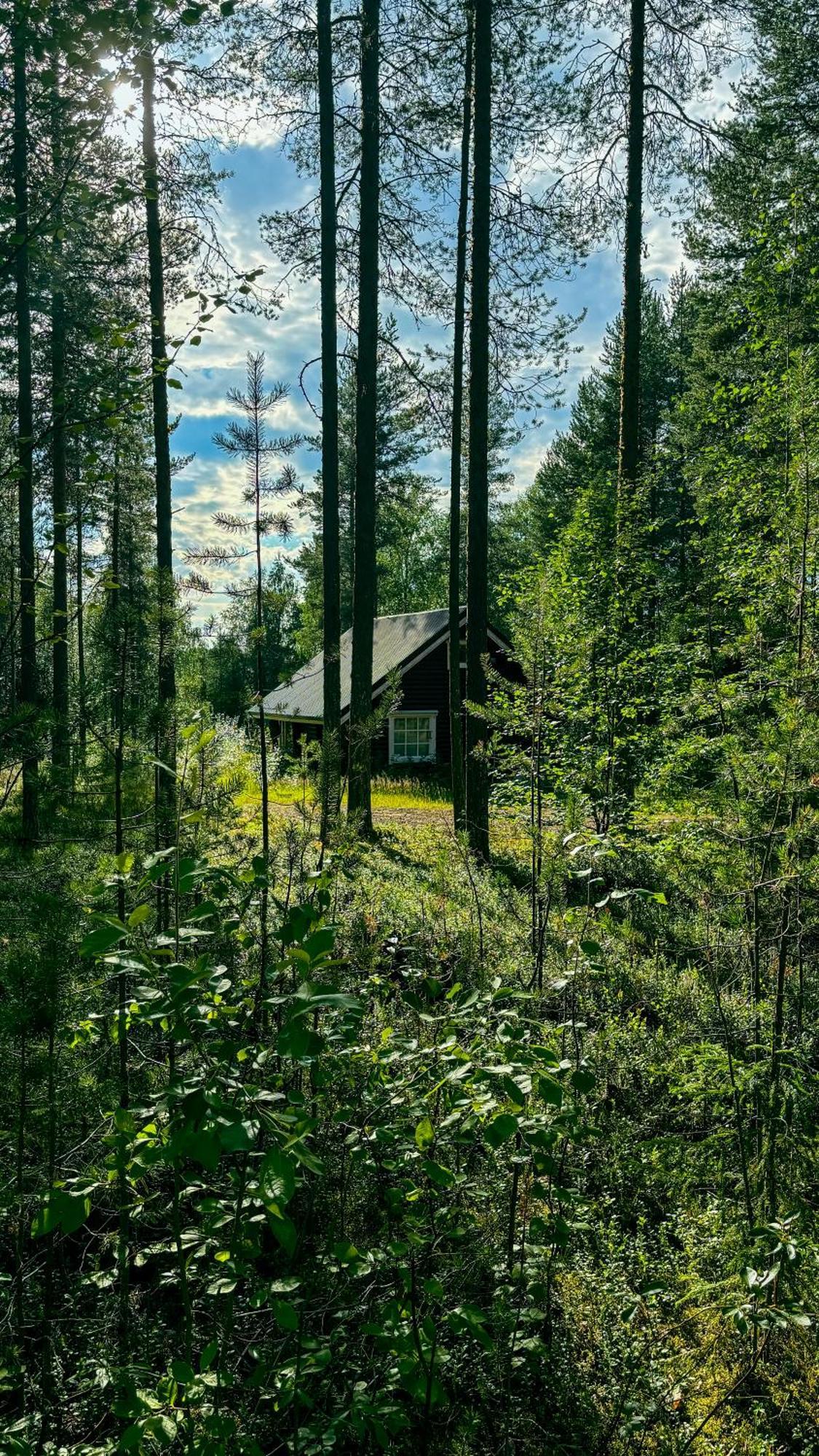 Sky Lodging ~ Sleeping Under The Stars Рованиеми Екстериор снимка