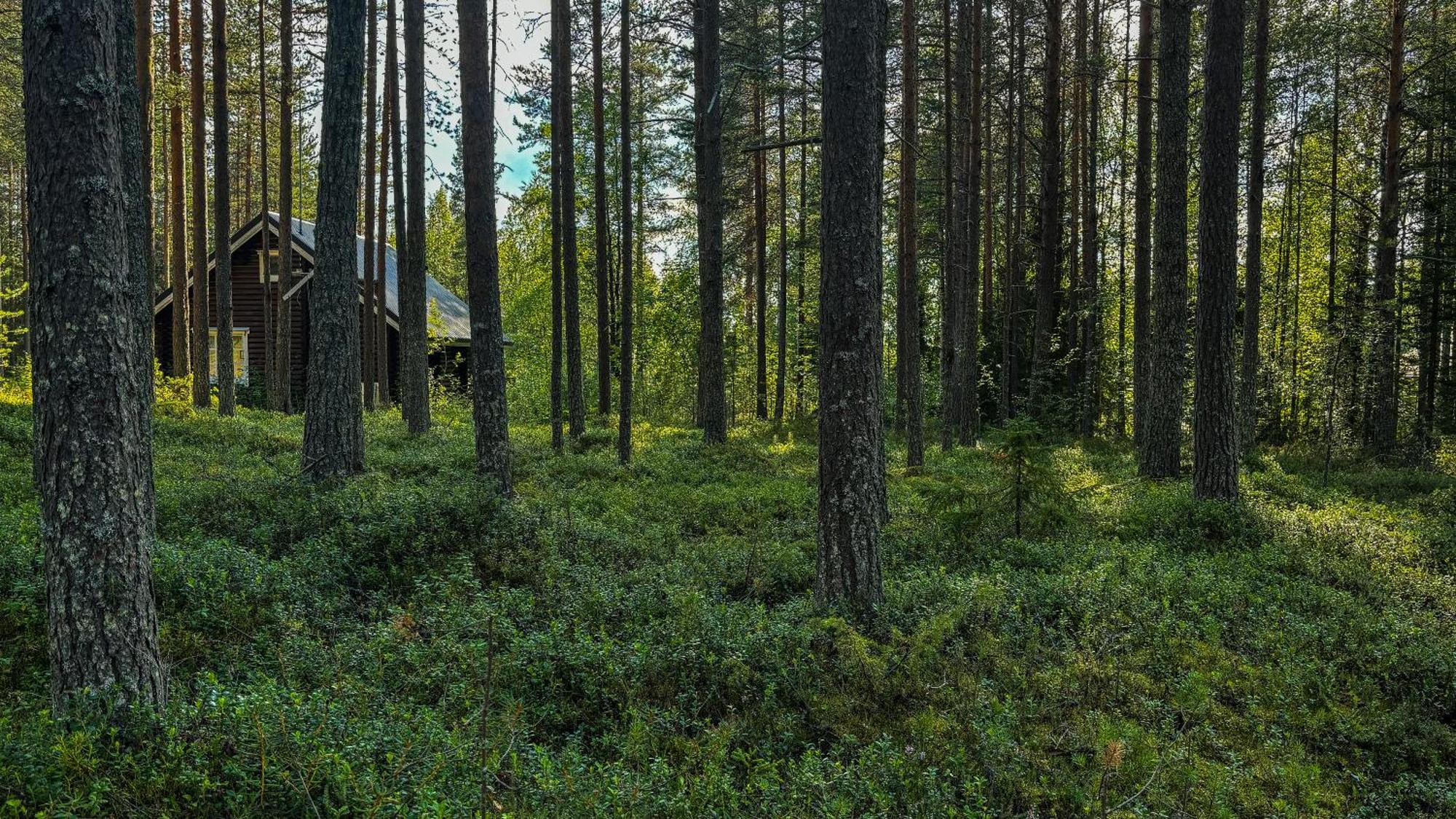 Sky Lodging ~ Sleeping Under The Stars Рованиеми Екстериор снимка