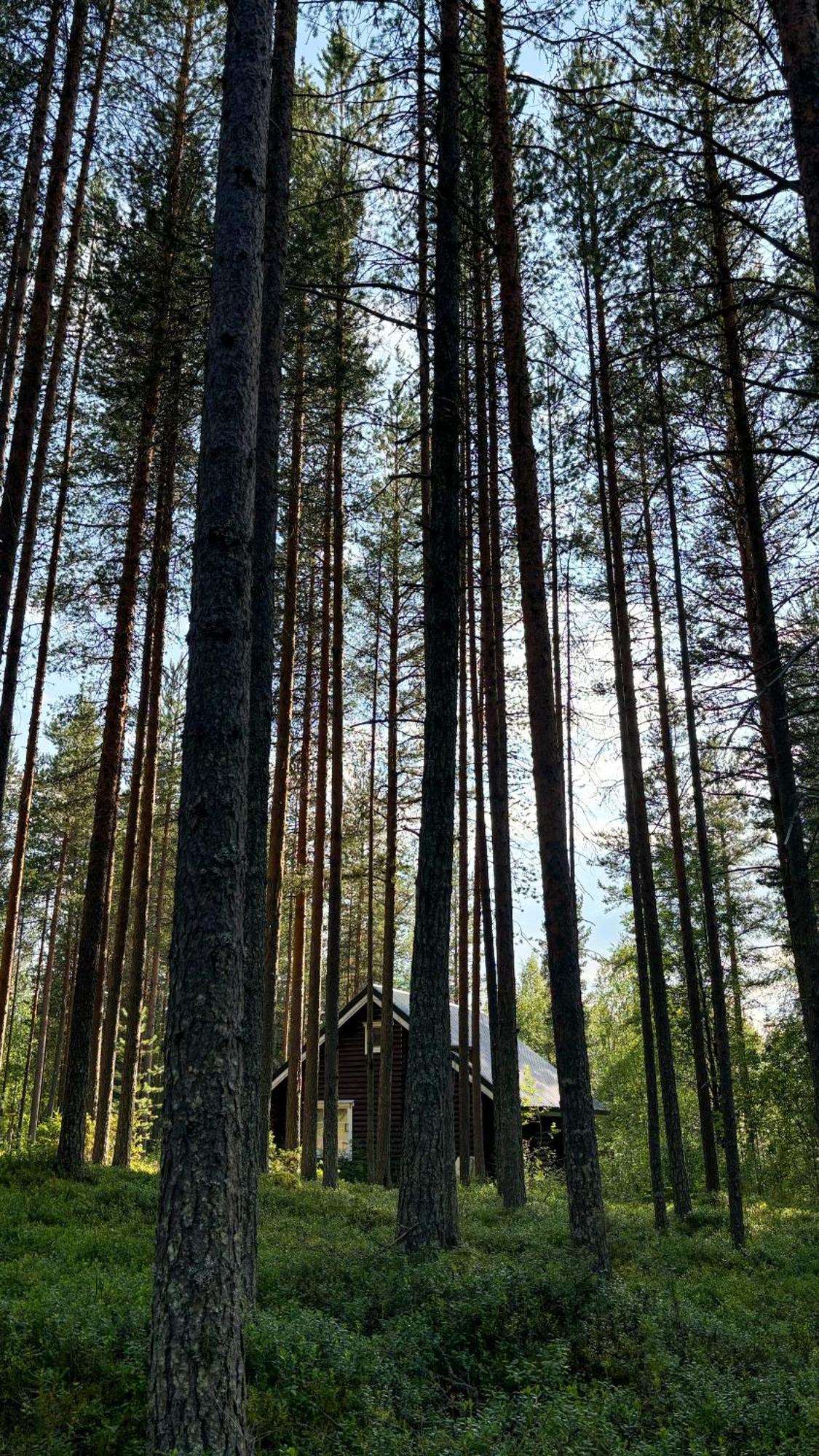 Sky Lodging ~ Sleeping Under The Stars Рованиеми Екстериор снимка