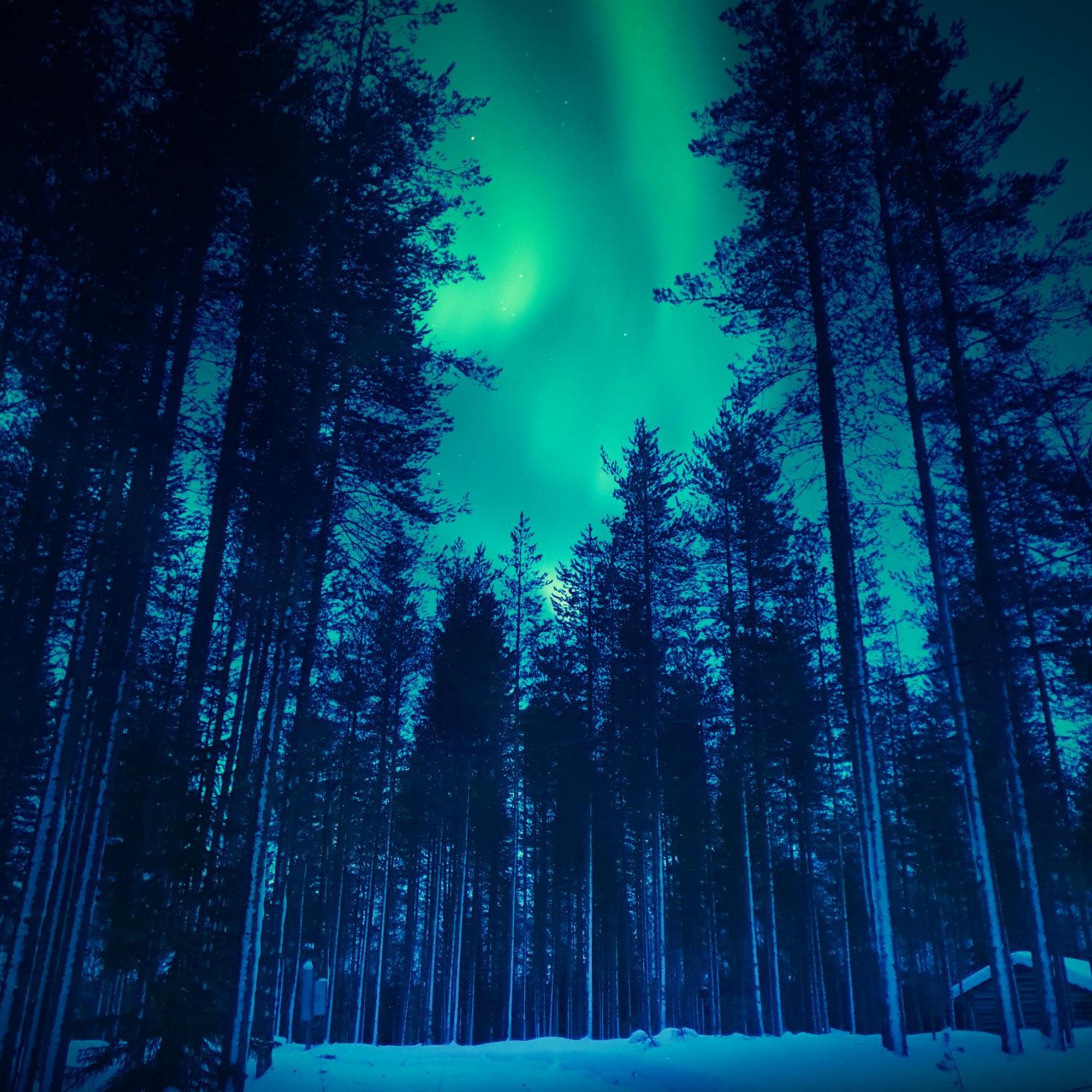Sky Lodging ~ Sleeping Under The Stars Рованиеми Екстериор снимка